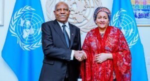 Shettima and Amina Mohammed