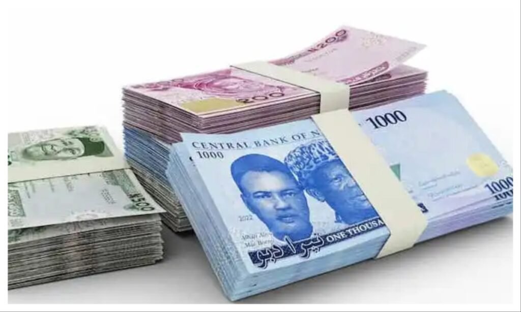 new-Naira-notes