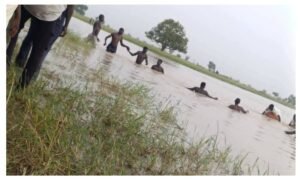 yobe-river